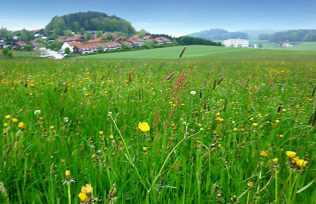 Ferienwohnung Gerda Zandt ภายนอก รูปภาพ